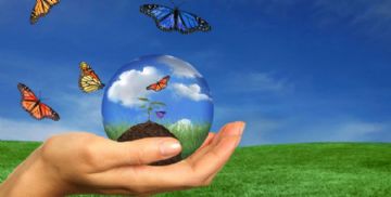 Environmental Policy